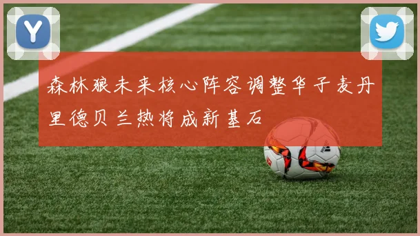 森林狼未来核心阵容调整华子麦丹里德贝兰热将成新基石
